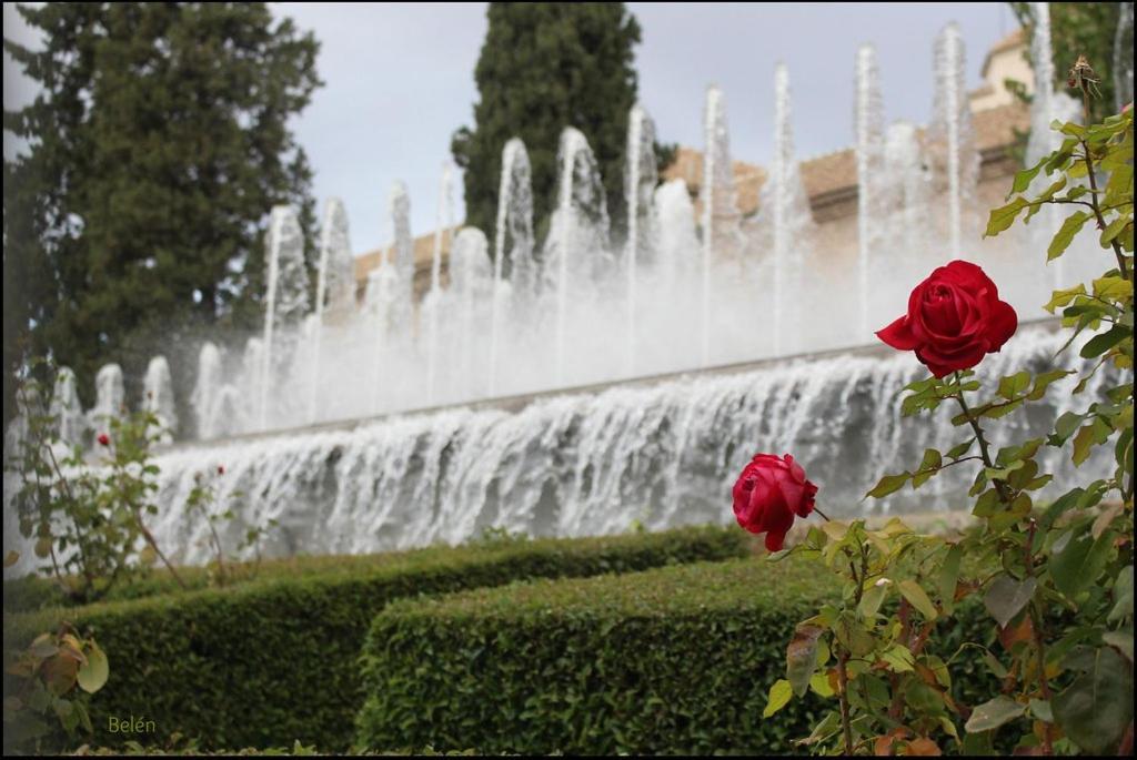 Jardines Del Triunfo Apartamentos Гранада Екстер'єр фото